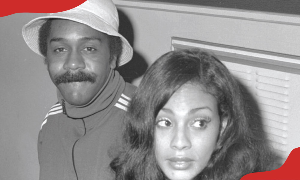 Who Is Cicely Johnston? The Hidden Life of Demond Wilson’s Wife