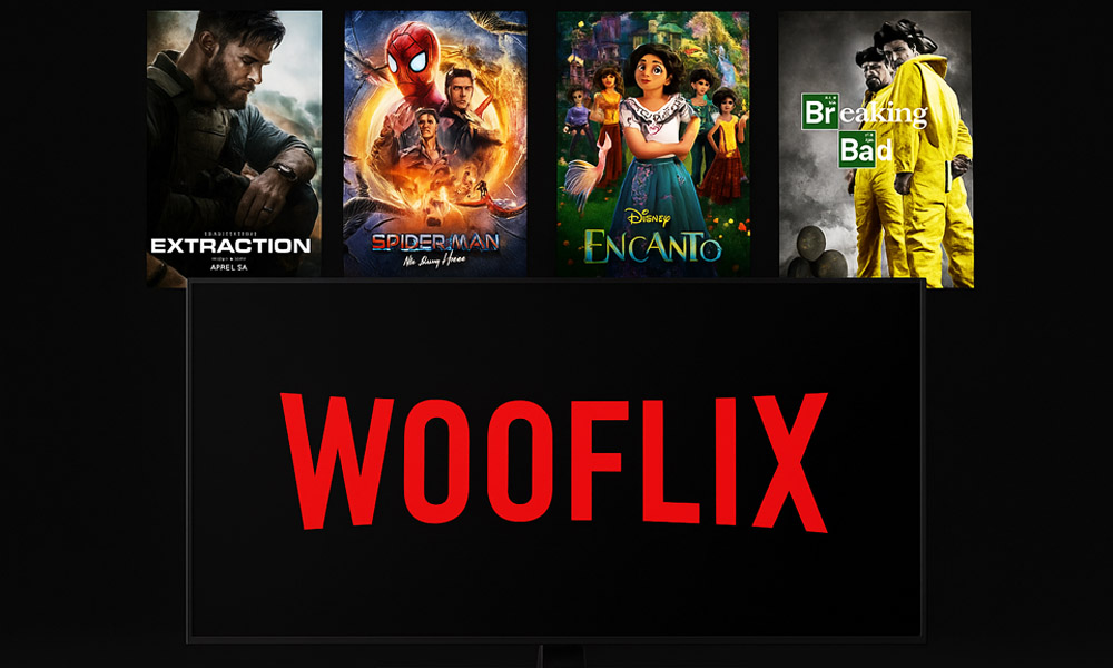 Should You Use Wooflix in 2025? Honest Review and Best Alternatives
