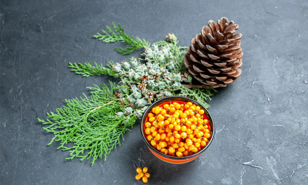 Foenegriek: The Tiny Herb With Big Health Secrets