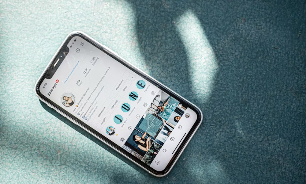 GramSnap Review: Is This the Best Free Instagram Downloader?