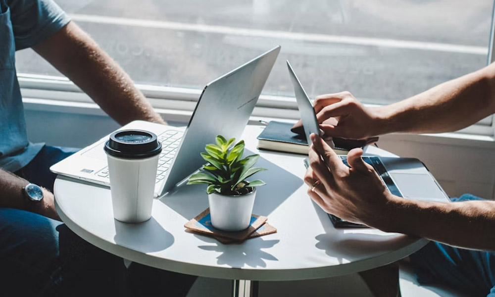 Pedrovazpaulo Business Consultant: The Growth Partner Every Business Needs