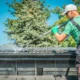 Clean Gutters