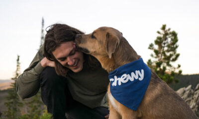 How Custom Dog Bandanas Are Redefining Everyday Petwear Trends