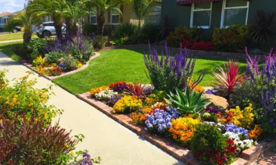 Landscaping Ideas