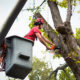 Tree Service