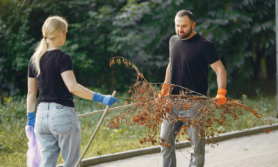 No Mess LLC: Your Trusted Eco-Friendly Cleaning Partner in Carmel, Indiana