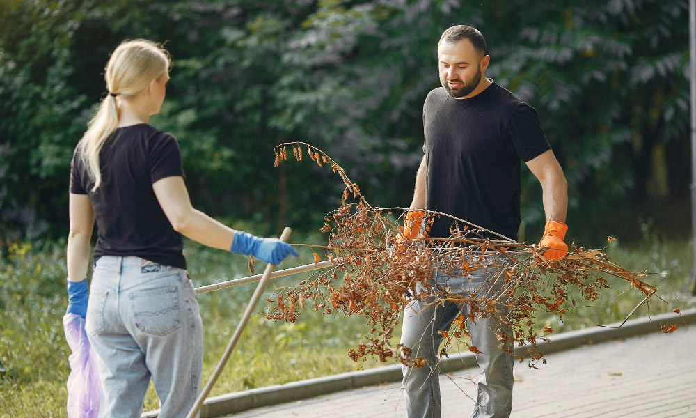 No Mess LLC: Your Trusted Eco-Friendly Cleaning Partner in Carmel, Indiana