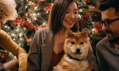 Holiday Glow-Up: Transform Your Pet Before the Holidays