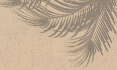 The Shade of Zupfadtazak: A Color That Only Lives in Your Mind