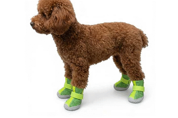 Dog Shoes