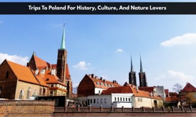 Trips To Poland For History, Culture, And Nature Lovers