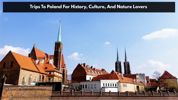 Trips To Poland For History, Culture, And Nature Lovers