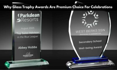 Why Glass Trophy Awards Are Premium Choice For Celebrations