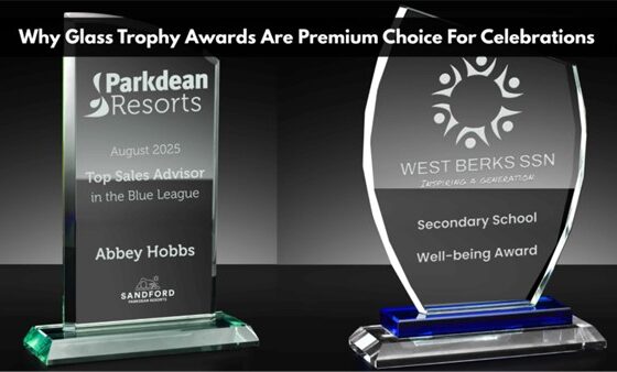 Why Glass Trophy Awards Are Premium Choice For Celebrations