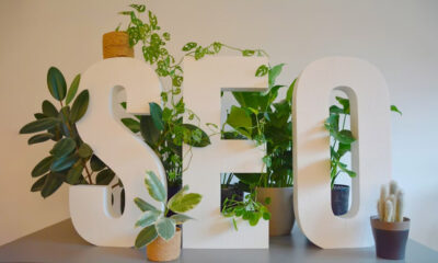 Top SEO Best Practices to Boost Your Rankings and Dominate SERPs