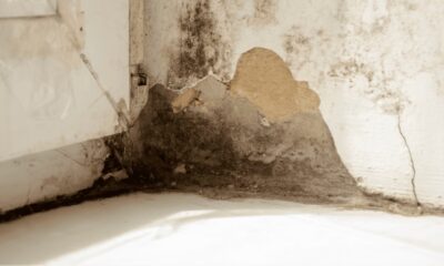 How to Fix Damp on an Internal Wall Without Guesswork: DIY Checks, Causes and Safe Repairs
