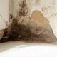 How to Fix Damp on an Internal Wall Without Guesswork: DIY Checks, Causes and Safe Repairs