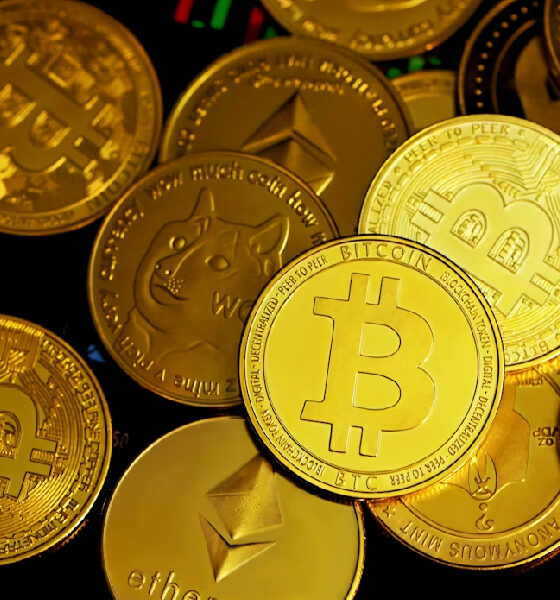 Maestro bot in crypto: a brief about what it is, what it is used for, and what to care about thereby.