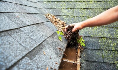 How to Spot When Your South West England Home Needs Gutter Cleaning