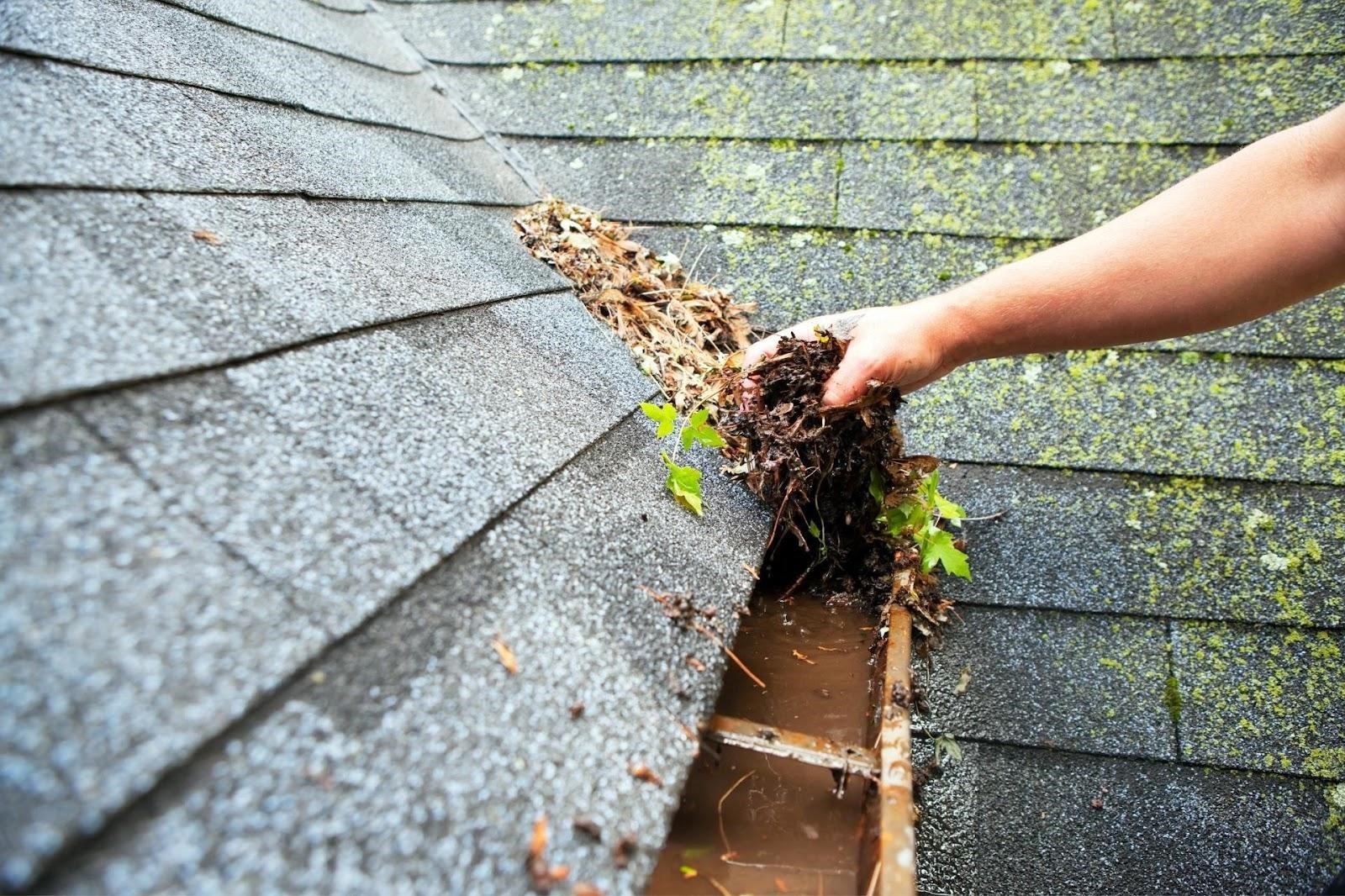 How to Spot When Your South West England Home Needs Gutter Cleaning