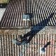 Why East Midlands Homeowners Struggle With DIY Roof Cleaning
