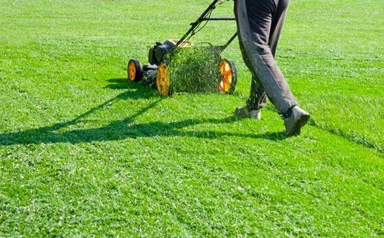Why Aeration Is the Missing Step in Your Lawn Care Routine
