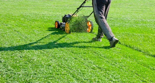 Why Aeration Is the Missing Step in Your Lawn Care Routine