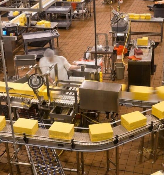 Revolutionizing the Food Packaging Industry with the Food Filling Machine